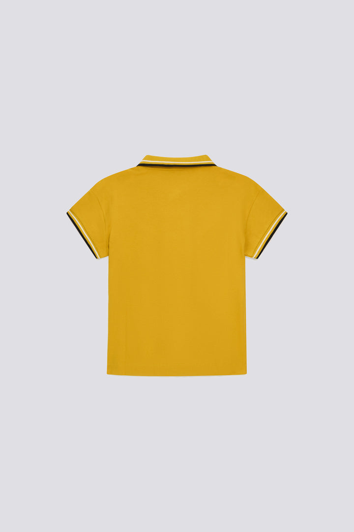 RAFFY M/C STRIPES 1473