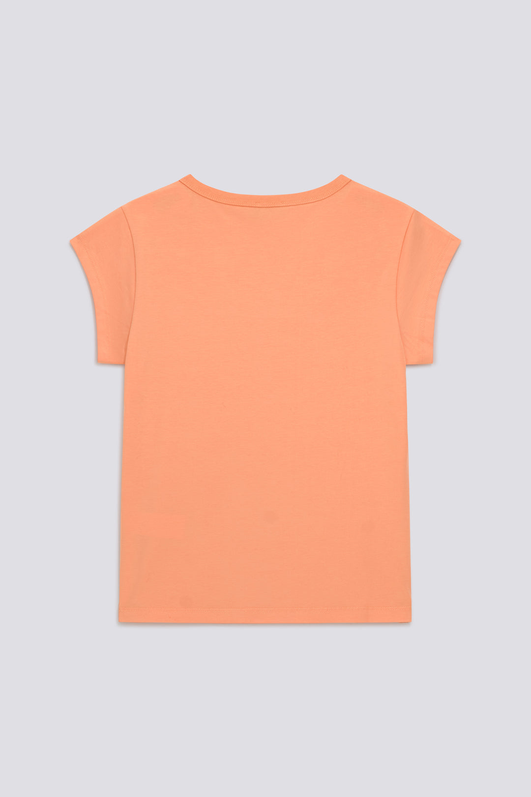 HANIKE CAP SLEEVE 3879